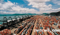 对于创建自由贸易货代公司该如何调节