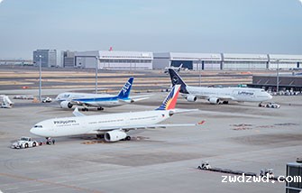 航空公司查询