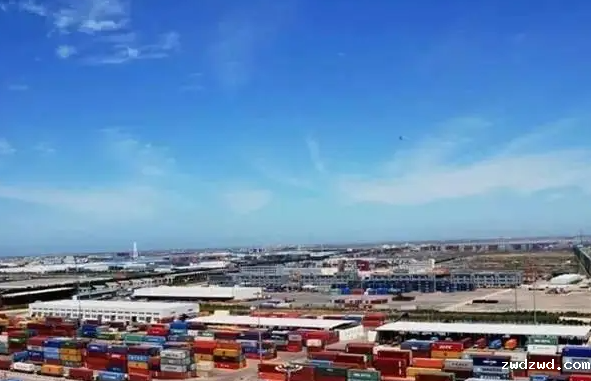 国际物流和国内物流哪个风险大？原因是什么？