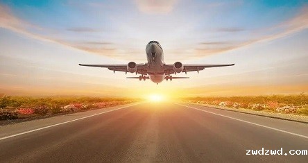 高效运输，专业团队，全面的货代服务——新加坡国际物流公司的特点