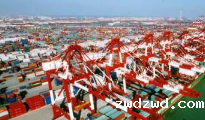 上海货代公司告诉大家进口通关代理为何可信任站点