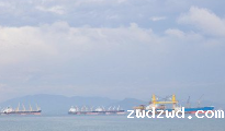上海国际物流提醒您：交货前，记得选购货运保险